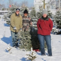 385903_2517465730546_1236935912_nCustomers cutting a Christmas Tree @ Bear Dance Farm 2011.jpg